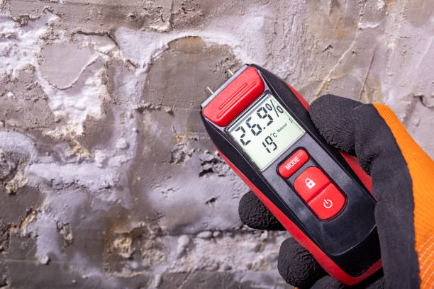 Best Commercial Mold Removal  in Banning, CA