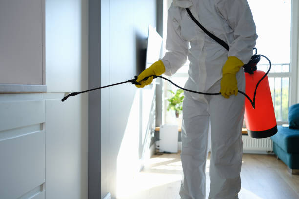 Best Mold Inspection  in Banning, CA