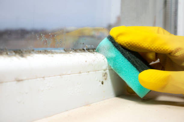 Best Crawl Space Mold Removal  in Banning, CA