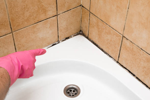 Best Office Mold Removal Services  in Banning, CA